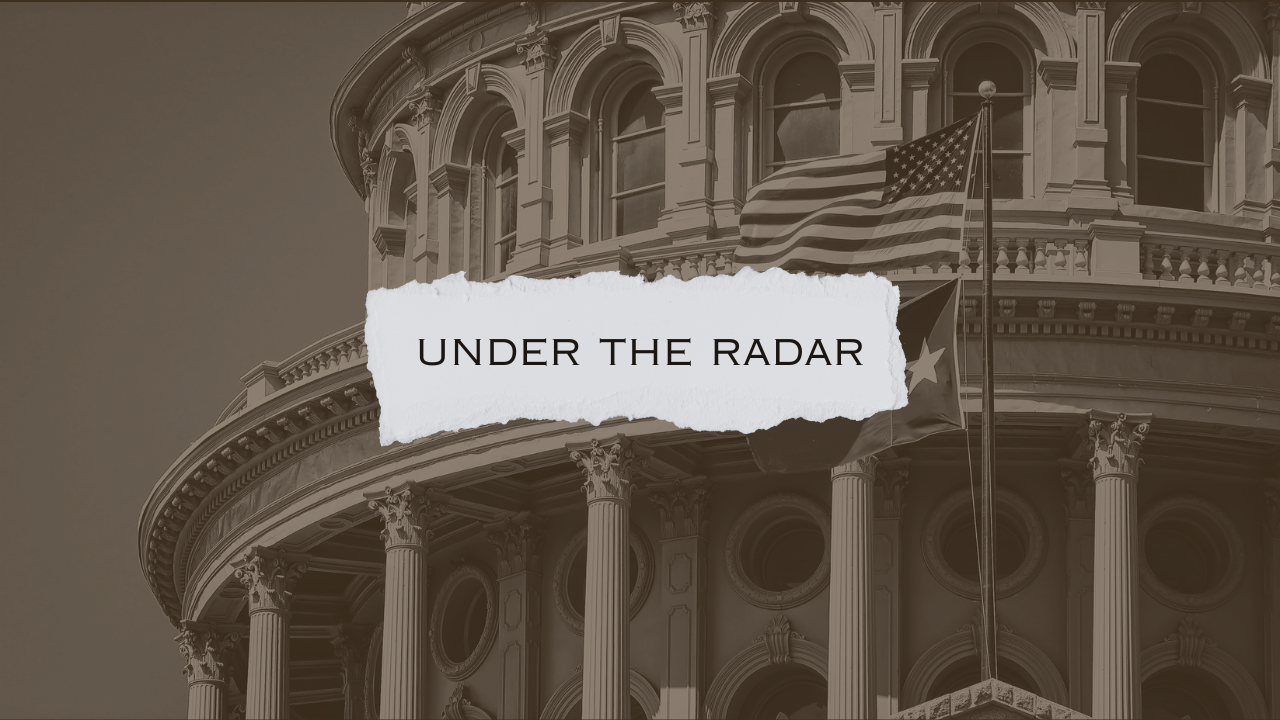 89th Legislative Session Policy Brief: Under the Radar - Texas Policy  Research
